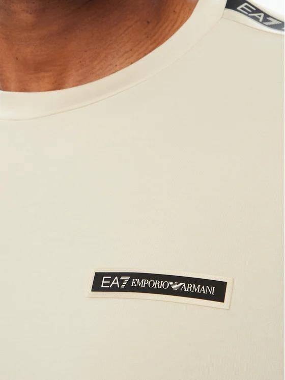 T-SHIRT IN COTONE