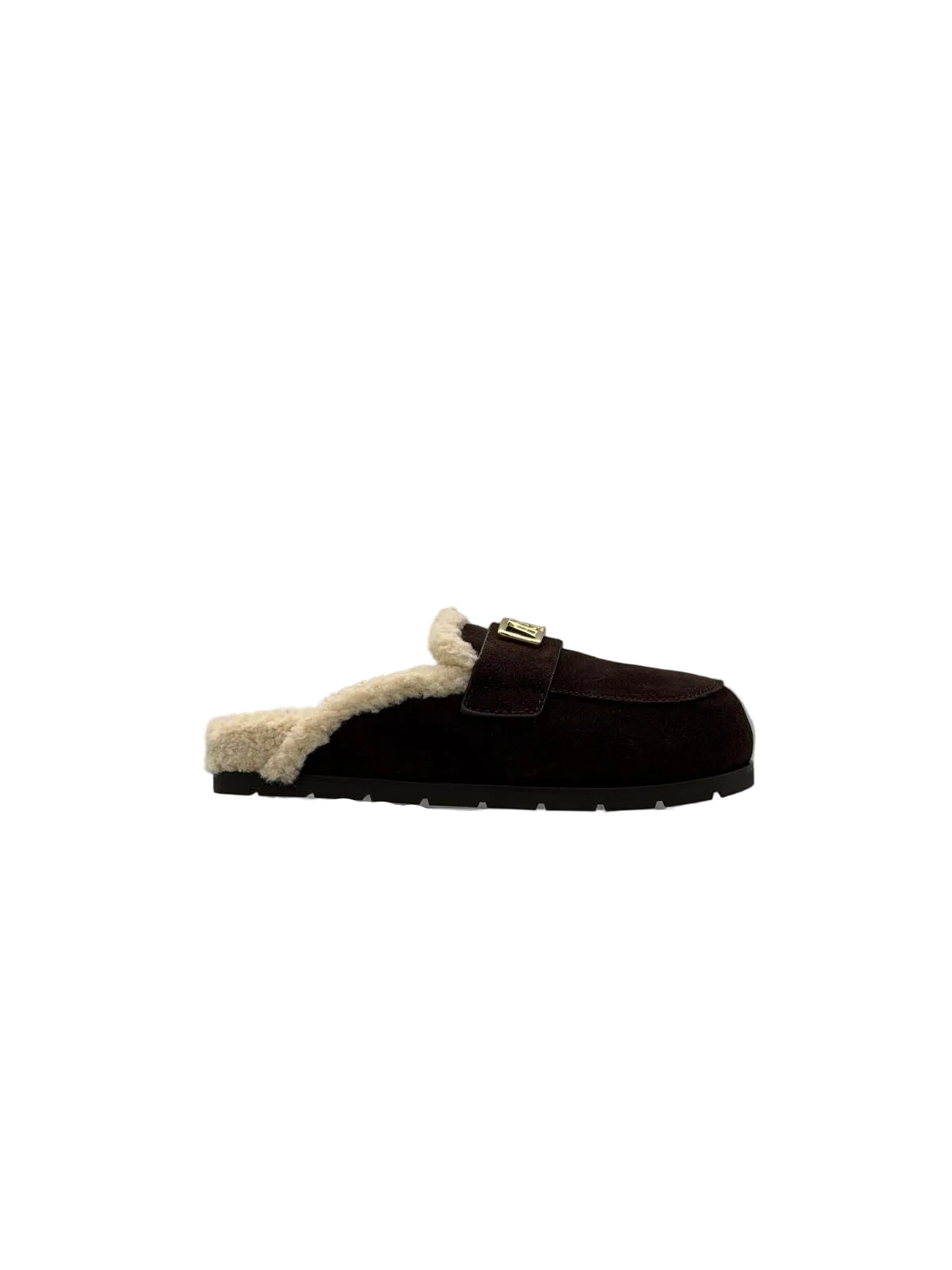 SABOT IN CAMOSCIO