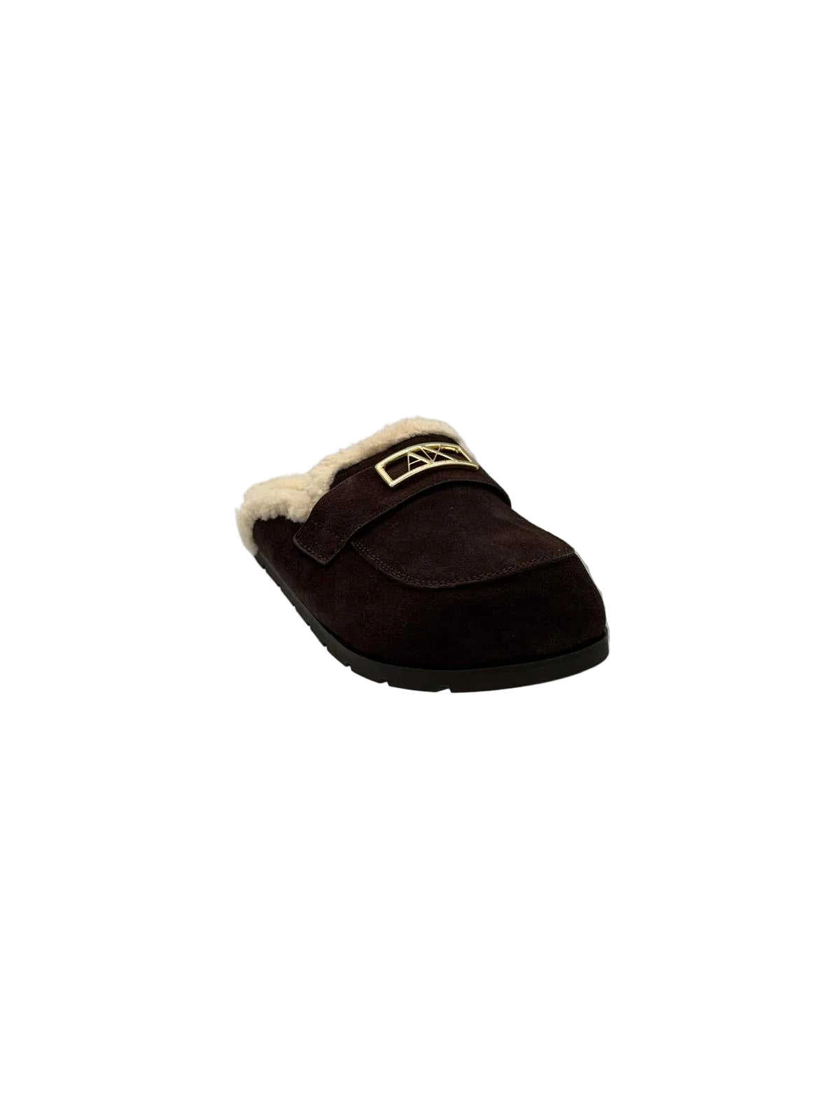 SABOT IN CAMOSCIO